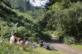 Temple Cycles Luzern